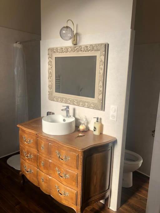 Appartement De Caractere Mirecourt Екстер'єр фото